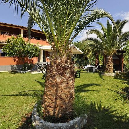Villa Toula Δασιά Εξωτερικό φωτογραφία